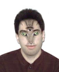 Human Cat Hybrid