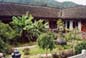 tea plantation courtyard